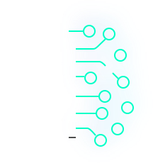brain