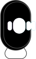 ion